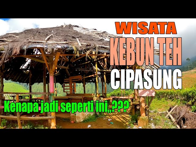 KABAR TERKINI WISATA KEBUN TEH CIPASUNG LEMAH SUGIH,ternyata kondisinya jadi seperti ini class=