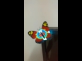 Video Image