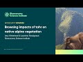 Browsing impacts of tahr on native alpine vegetation