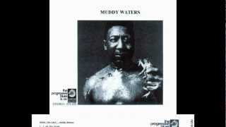 Muddy Waters - Hurting Soul - After the Rain