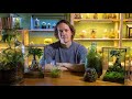 How To Make A Terrarium | A Beginners Guide