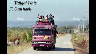 Vidigal Pinto cuek habis (original sound)