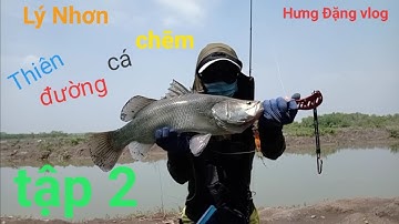 Câu cá lý nhơn.câu trúng ổ cá chẽm khũng...pe 9x-2.5..nổ như pháo