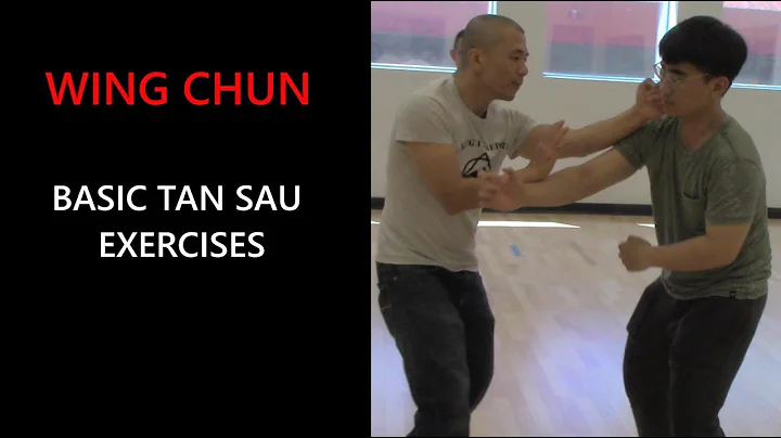 Wing Chun Basic: Tan Sau exercises - Adam Chan Kun...