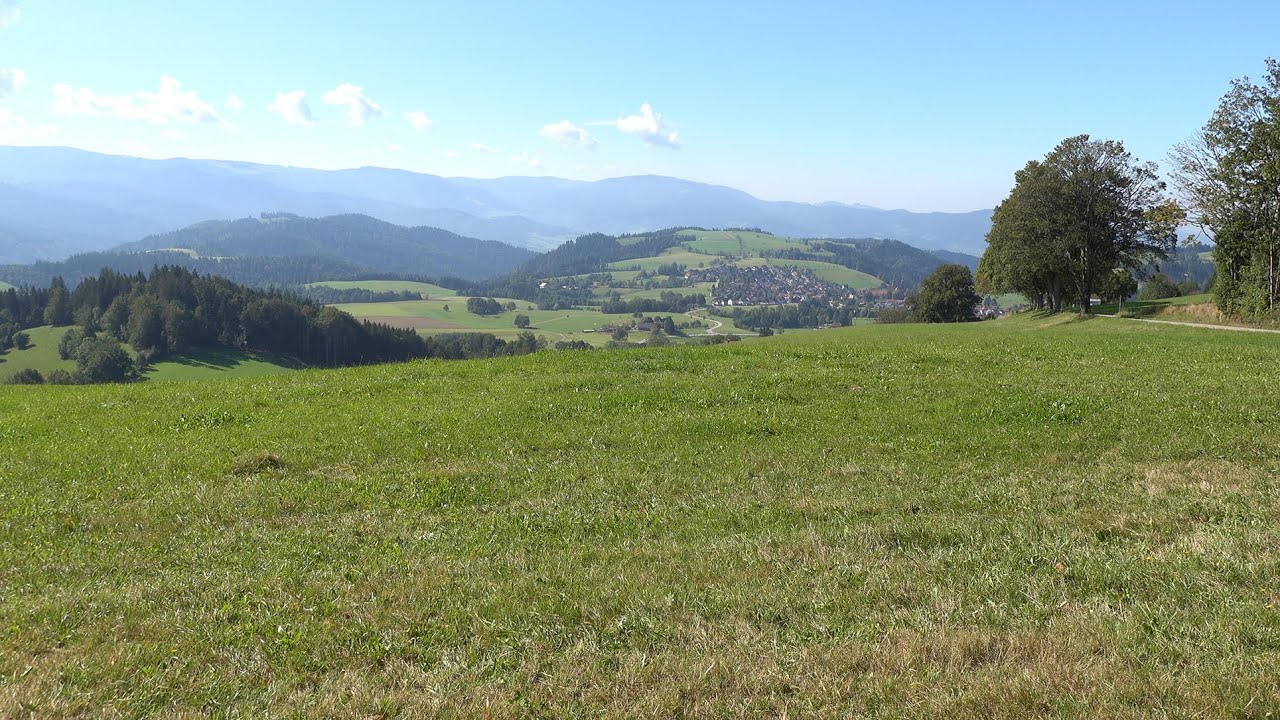 Bus St.-Peter - St.-Märgen 2024