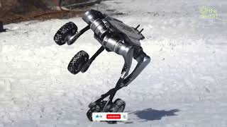 Robotic Dogs Mind-Blowing Stunts: The Future of AI Pets Unveiled!