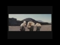 Mie Nakao Ahaa Tokyo Beatniks