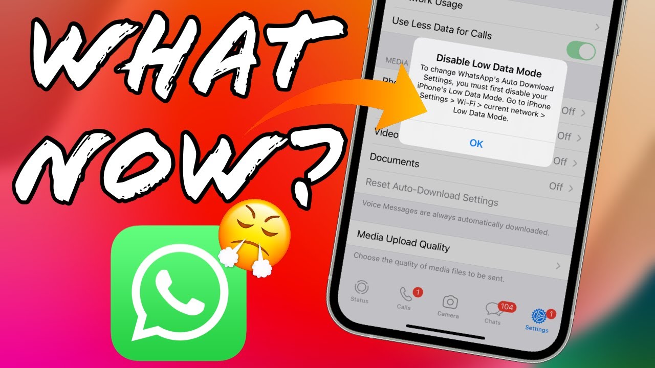 How To Fix "Disable Low Data Mode" Notification on WhatsApp in iPhone I Low Data Mode for WhatsApp