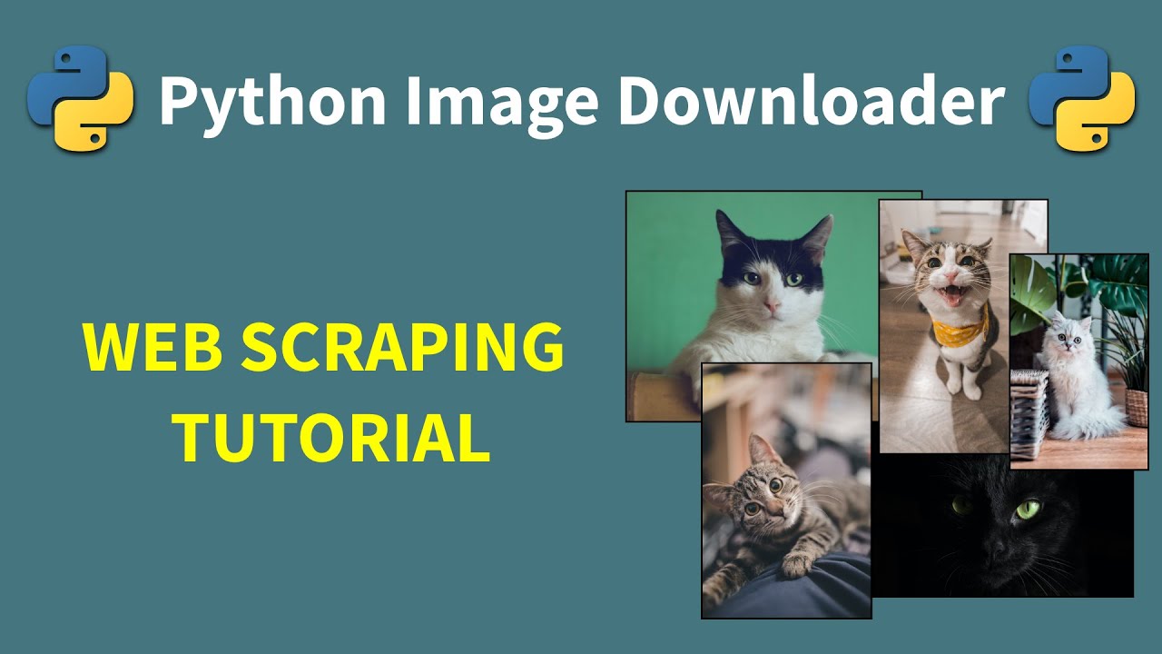 poe สกิล  Update  Download Images With Python Automatically - Python Web Scraping Tutorial