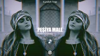 Helin Güneş peşiya male kurdish trap remix Resimi