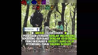 Story wa pacar ki di tikung teman