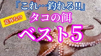 たこ釣り Youtube