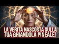 La Verità PROIBITA sulla Ghiandola Pineale
