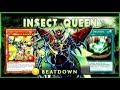 Metamorphosed Insect Queen Deck 2019 [ Yu-Gi-Oh! Duel Links ] - YouTube