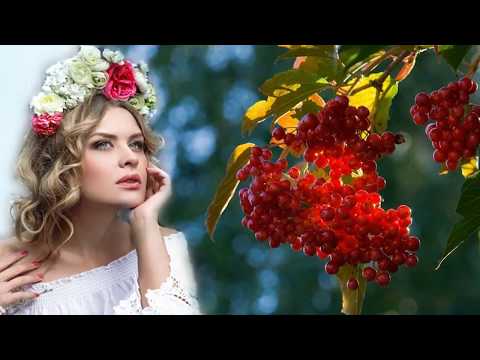 💐Что стоишь качаясь?:Тонкая рябина💐