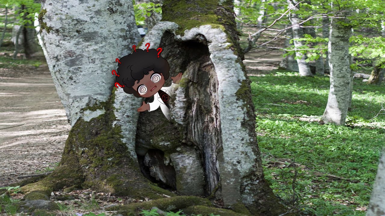 This Town is keeping it really close to the Family... - SCP 2815