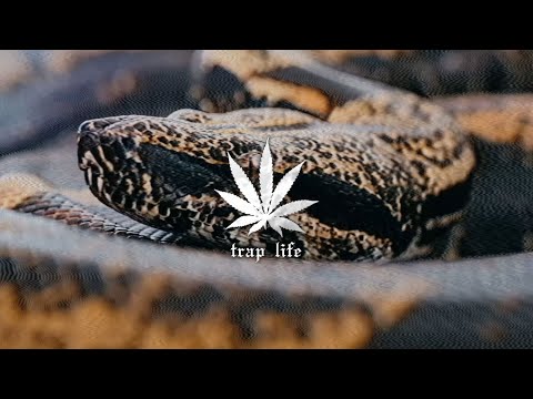 SHADOWSTAR - HARD TO KILL