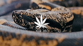 Shadowstar - Hard To Kill