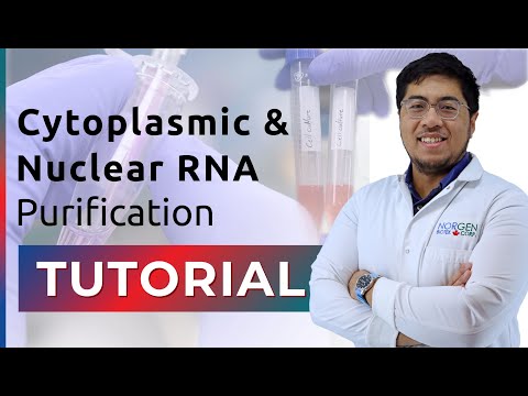 Vídeo: Você pode vortexar rna?