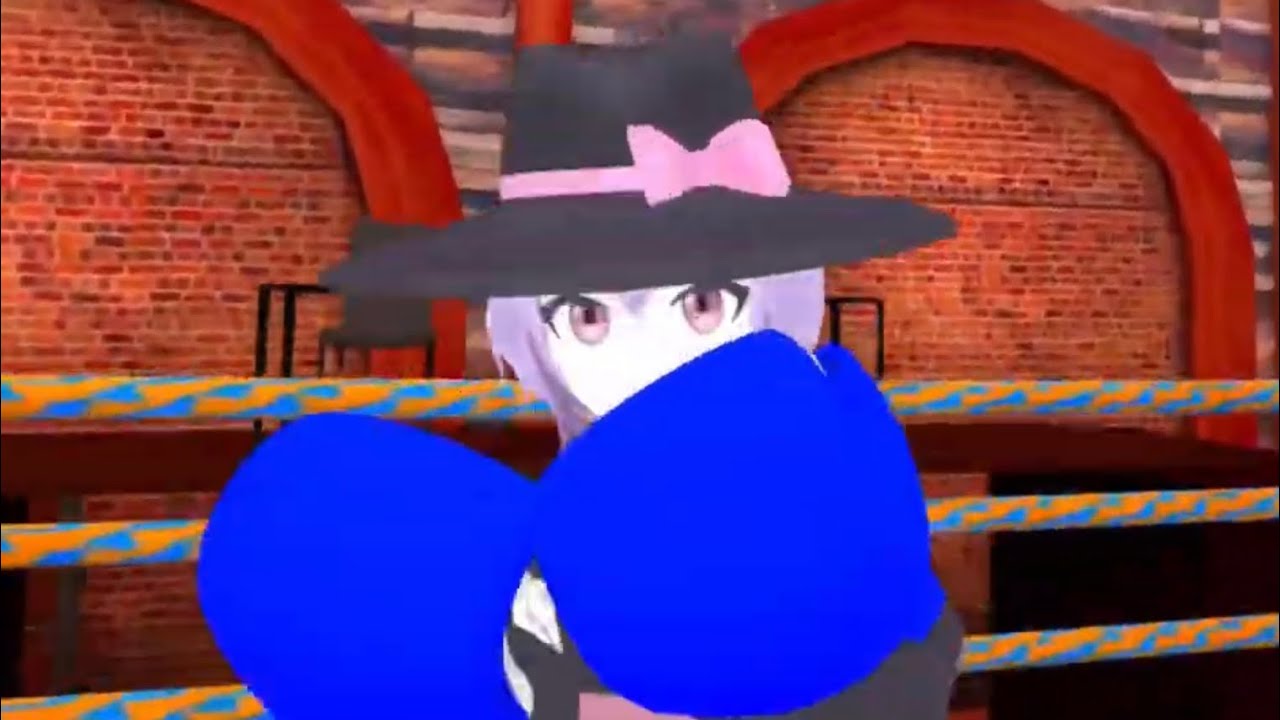 LDraux Vs Cosmic YouTuber Boxing