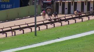 HVL WED 21 FEB 24 R12