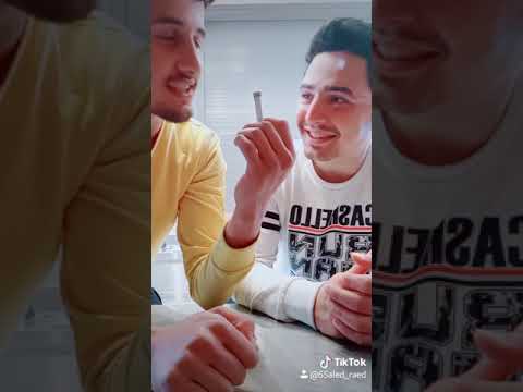 الصنف ده اسمه ايه