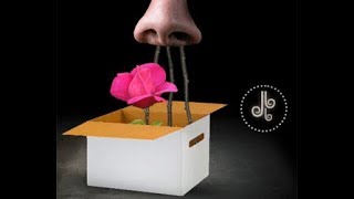 Mitoza - 0 Logica In Jocul Asta - Old