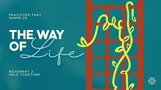 The Way of the Life: This is My Story