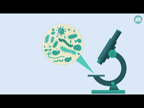 Vídeo: Antibióticos: ¿qué Es?