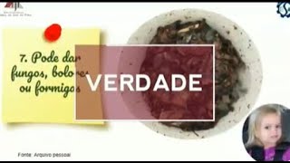 Mitos e verdades sobre Compostagem