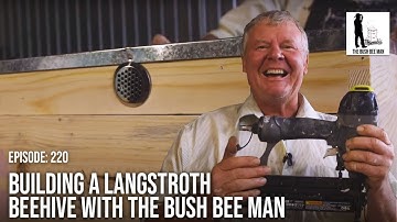 Beehive Ideas: How to Build a 10 Frame Langstroth Beehive | The Bush Bee Man