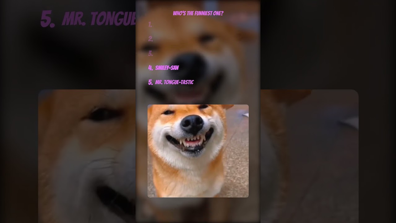 5 Funny Animals That Will Make You Laugh 😂 | Which One Makes You Laugh the Most?