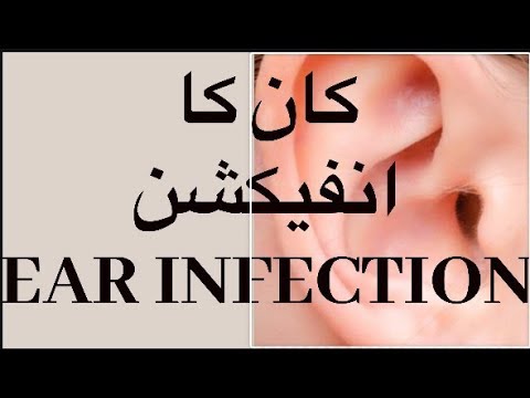 Ear infections (کان کا انفیکشن)/ Kaan mein || Dr Humaira Kay Sath || Urdu and Hindi Videos