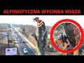 Kolejny wiz o rednicy 140 cm  alpinistyczna wycinka wiza