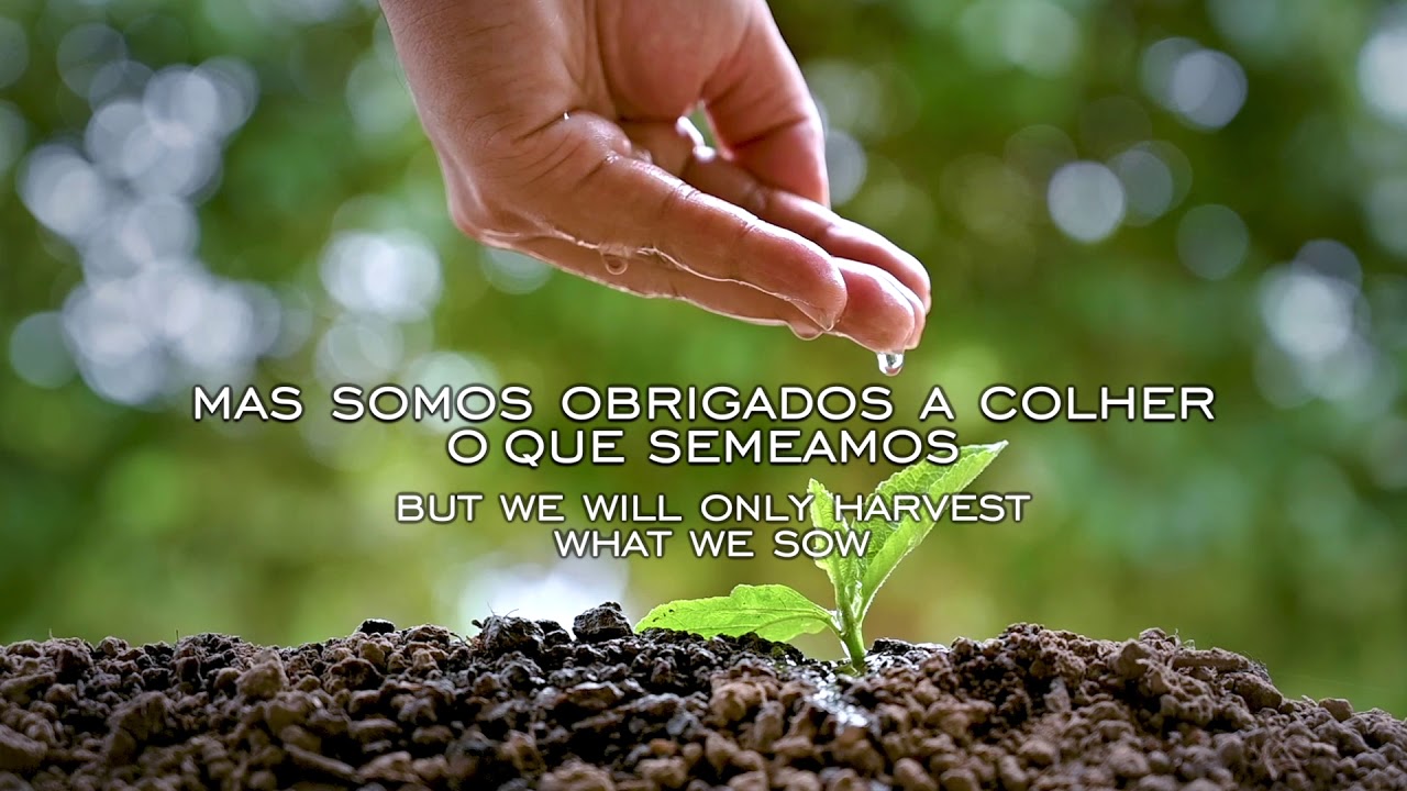 Mensagem Fim de Ano Comexim