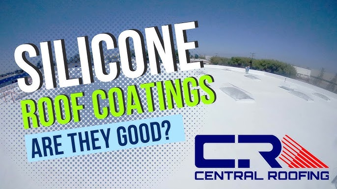 What A View!!! : Coating Mel and Paula's RV Roof with Elastomeric Paint