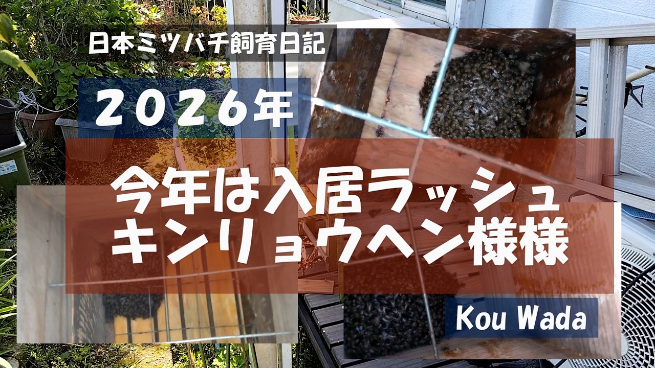 2026入居ラッシュ～今年4月に入り、鹿児島市で立て続けに3群の分