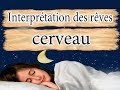 Interprétation Et Signification Du Rêve Cerveau Interprétation Et Signification Du Rêve Cerveau