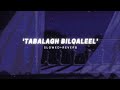 Osama al safi  tabalagh bellqaleel slowed  reverb nasheed