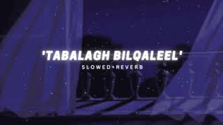 Osama Al Safi - Tabalagh Bellqaleel (slowed + reverb) Nasheed Resimi