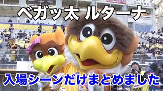 ベガッタとルターナの入場シーンだけまとめました！【切り抜き】