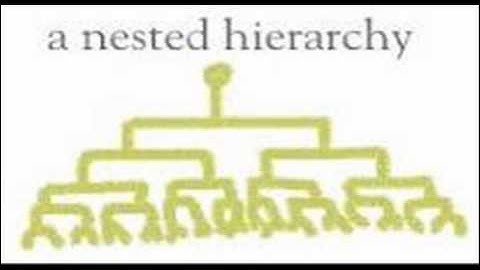 NESTED HIERARCHIES (REPLY TO DONEXODUS)