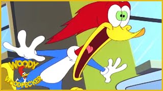 Woody Woodpecker | Healing Feeling | Woody Woodpecker Full Episode | Kids Cartoon | Videos for Kids