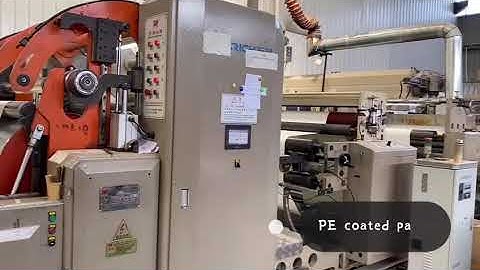 PE Coated Paper Roll 150 To 300gsm Paper Cup Raw Material