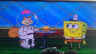 Bob Esponja Alguien Está En La Cocina Con Arenita Parte 1