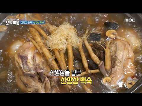 [생방송 오늘 아침] <strong>산양삼</strong> 듬뿍! 초고가 <strong>산양삼</strong> 백숙, MBC 250227 방송