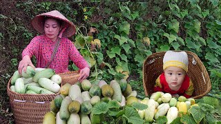 Harvesting Giant Cucumbers in the Mountains with Child - Daily Life of a 18-Year-Old Single Mother