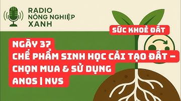 Sức khoẻ đất - Ngày 37| Chế phẩm sinh học cải tạo đất, chọn mua và sử dụng | ANOS
