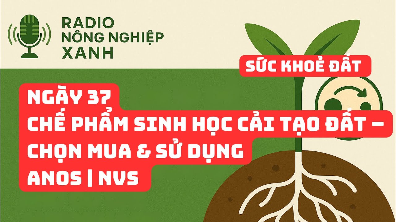 Sức khoẻ đất - Ngày 37| Chế phẩm sinh học cải tạo đất, chọn mua và sử dụng | ANOS