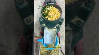 samll model feed pellet machine#Feed processing equipment#Feed pellet machine